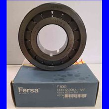 F 19063 FERSA 45x100x31