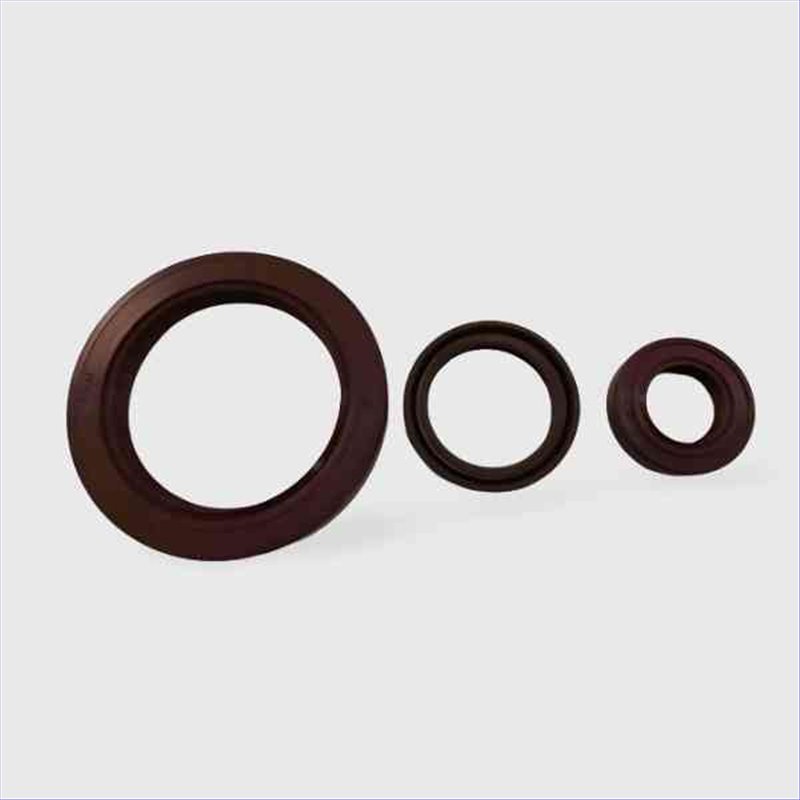 Paraolio VITON 62x90x10 TC 62x90x10TC24,40 €