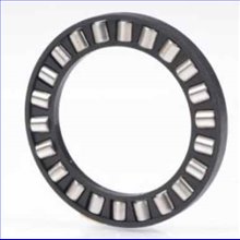 K89320-M/+6-8 INA 100x170x13