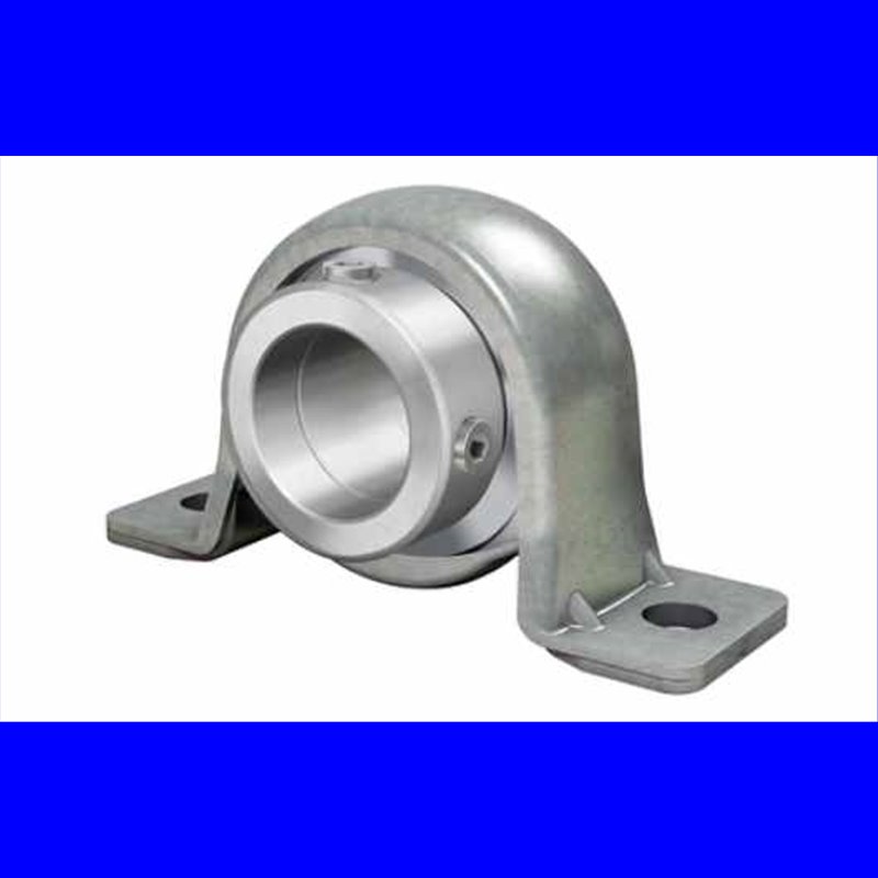 PB25-XL INA 25x108x56,5
